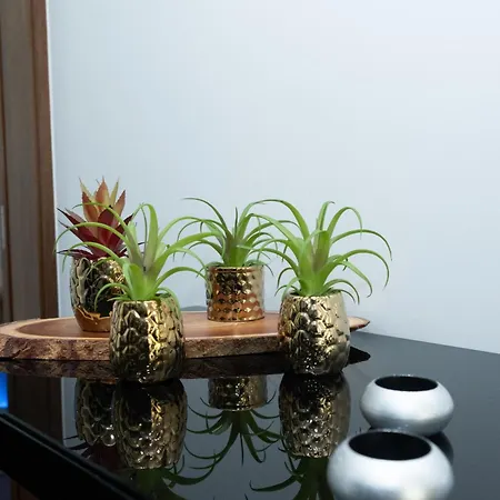 Deluxe Home, Peace &